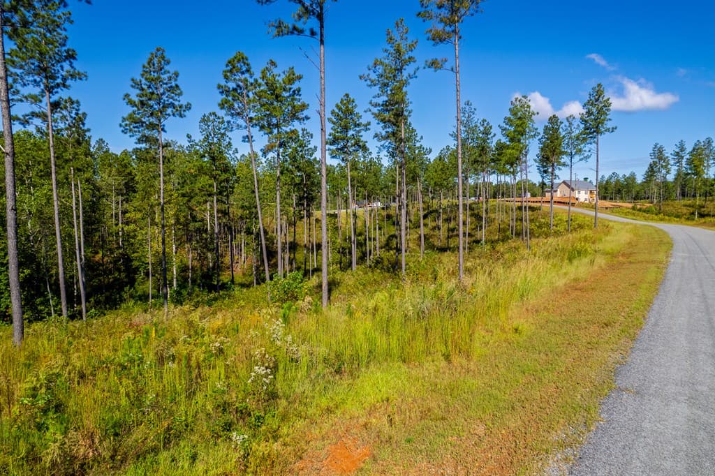 Lot 140 River Reach Lane, Talking Rock GA 30175 - Photo