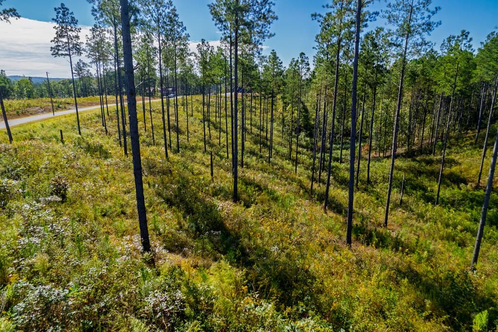 Lot 140 River Reach Lane, Talking Rock GA 30175 - Photo