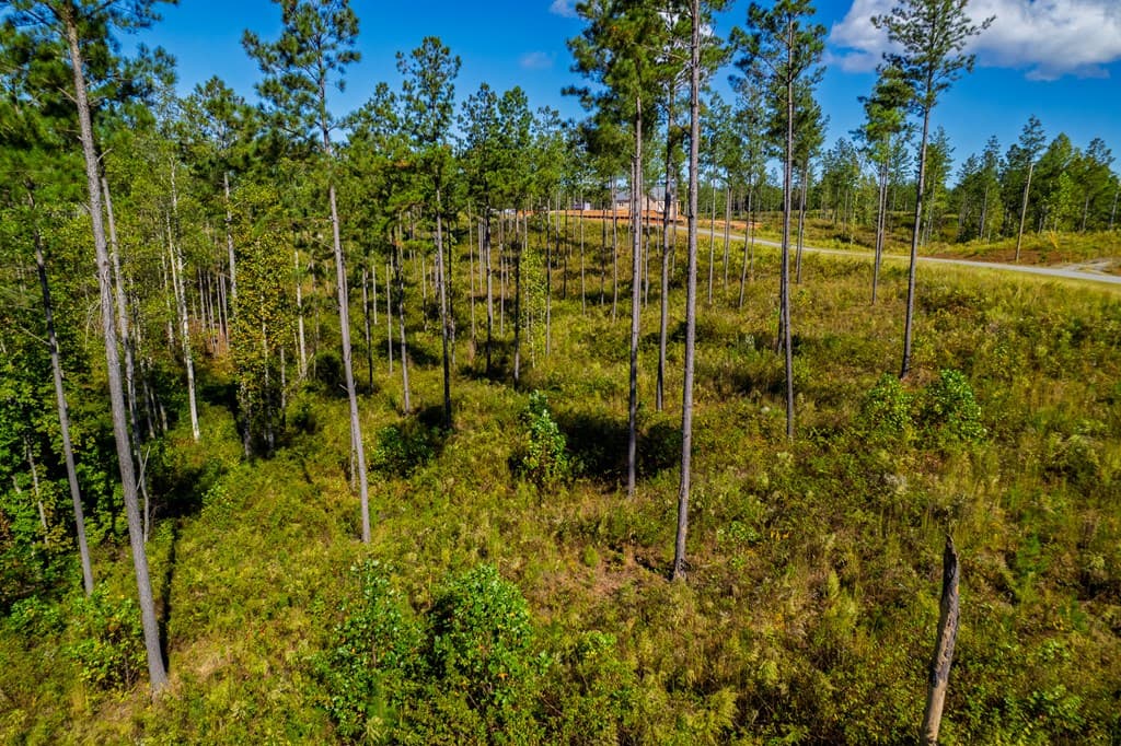 Lot 140 River Reach Lane, Talking Rock GA 30175 - Photo