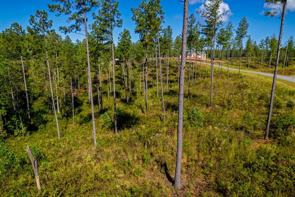 Lot 140 River Reach Lane, Talking Rock GA 30175 - Photo