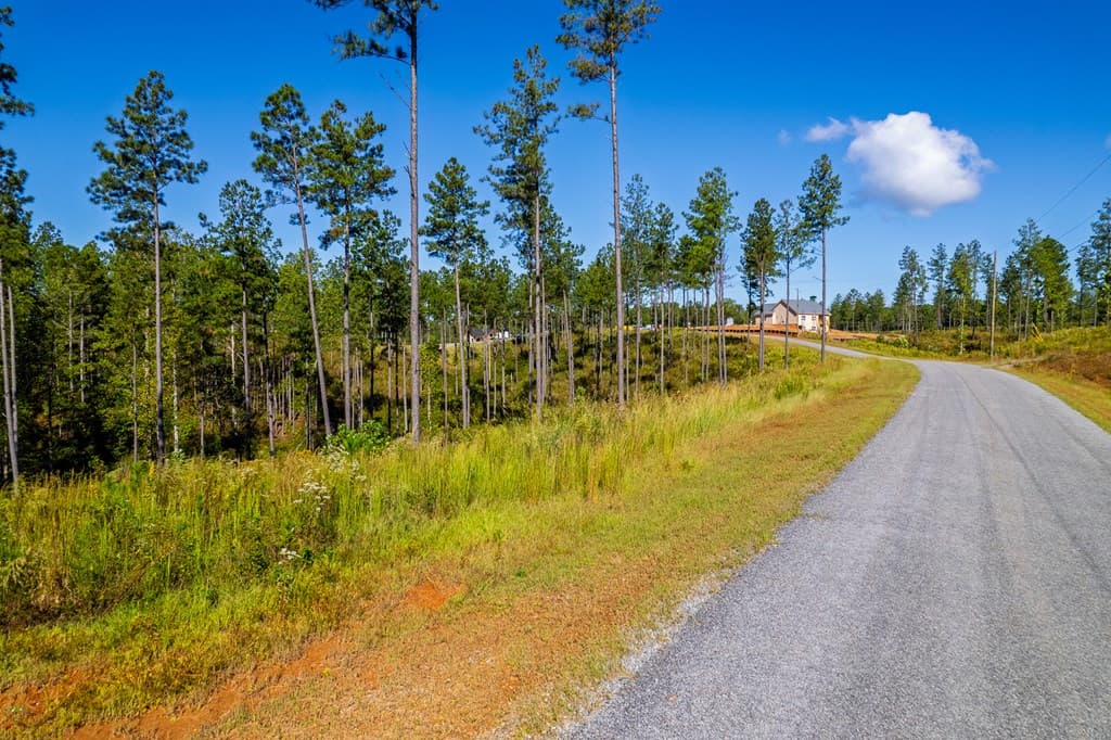 Lot 140 River Reach Lane, Talking Rock GA 30175 - Photo