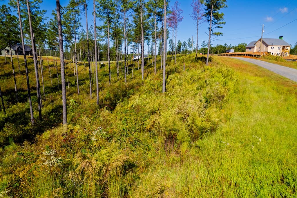 Lot 140 River Reach Lane, Talking Rock GA 30175 - Photo