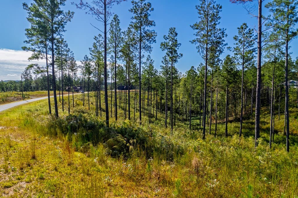 Lot 140 River Reach Lane, Talking Rock GA 30175 - Photo