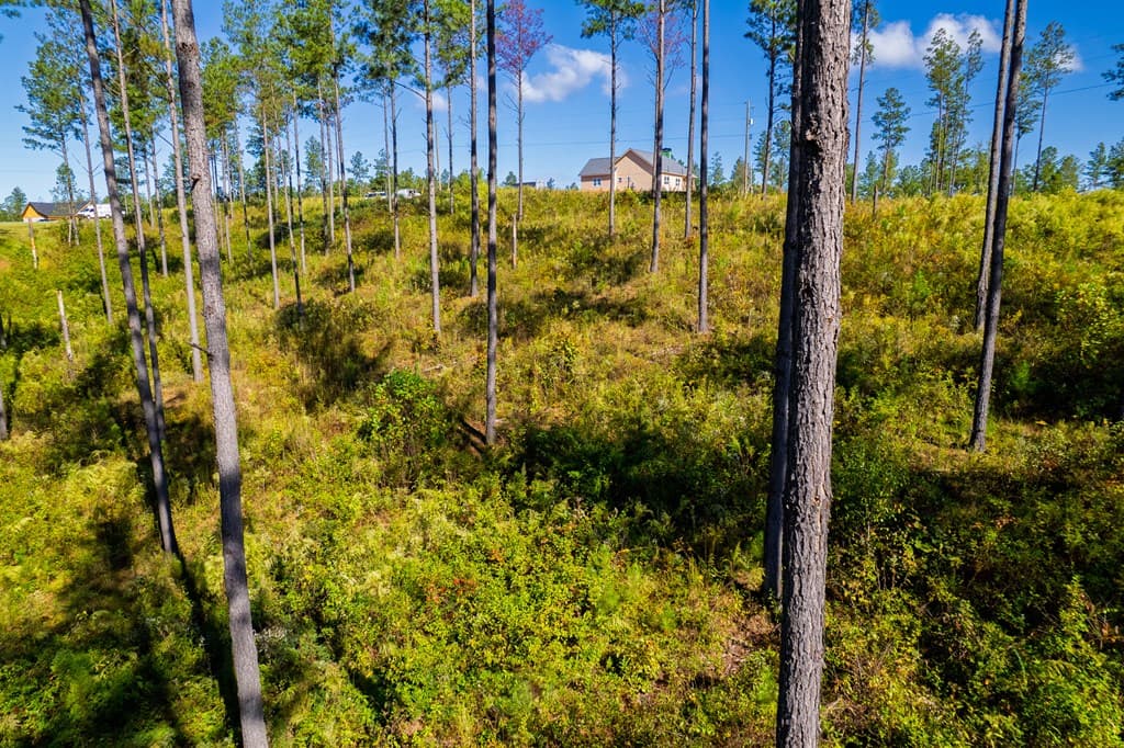 Lot 140 River Reach Lane, Talking Rock GA 30175 - Photo