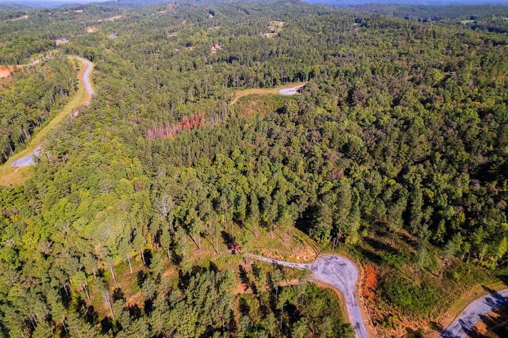 Lot 52 Royal Wulff Avenue, Talking Rock GA 30175 - Photo
