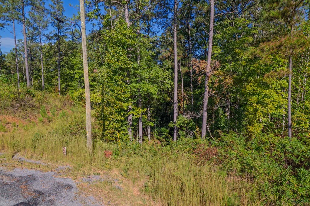 Lot 52 Royal Wulff Avenue, Talking Rock GA 30175 - Photo