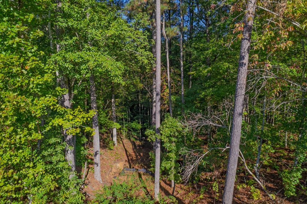 Lot 52 Royal Wulff Avenue, Talking Rock GA 30175 - Photo