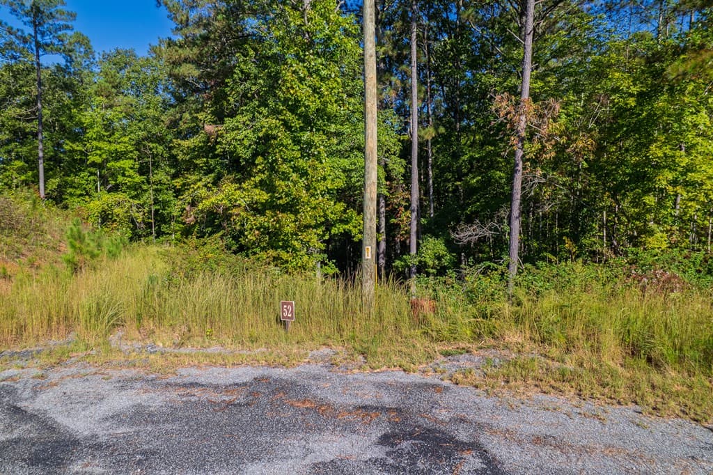 Lot 52 Royal Wulff Avenue, Talking Rock GA 30175 - Photo