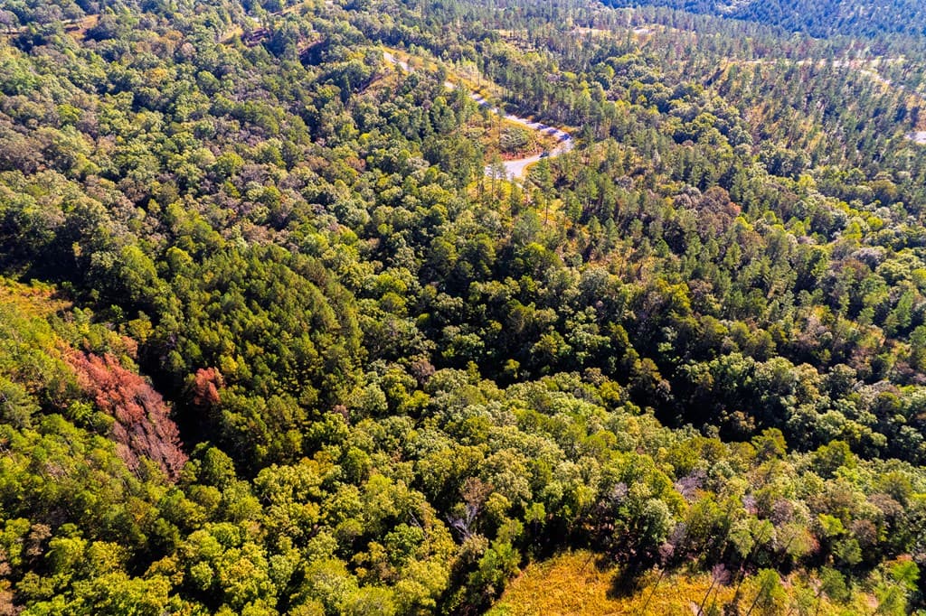 Lot 52 Royal Wulff Avenue, Talking Rock GA 30175 - Photo