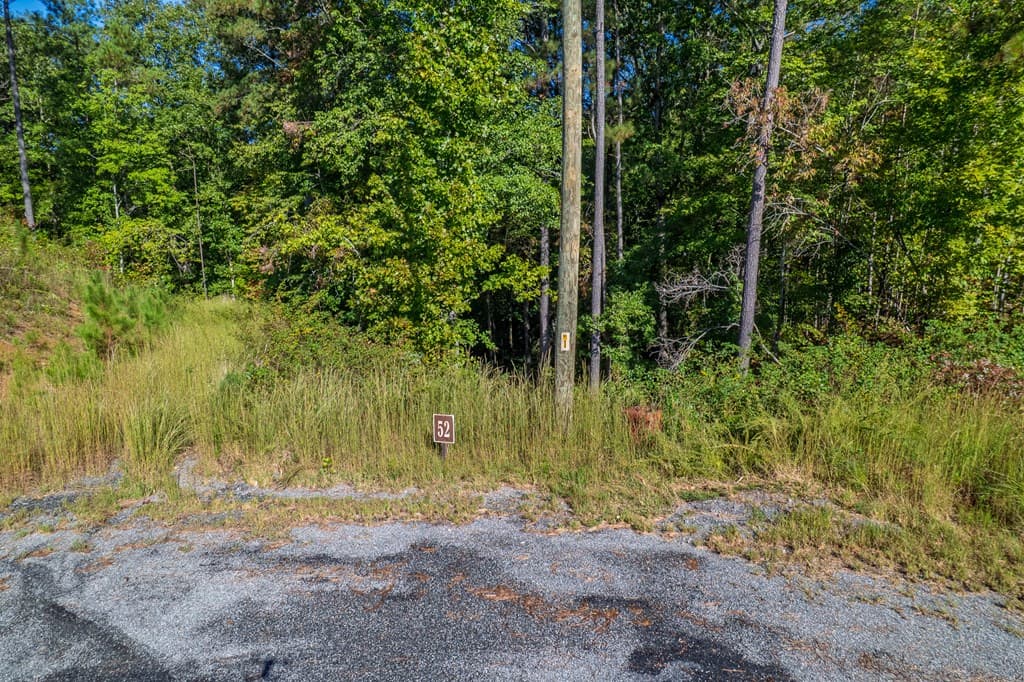 Lot 52 Royal Wulff Avenue, Talking Rock GA 30175 - Photo
