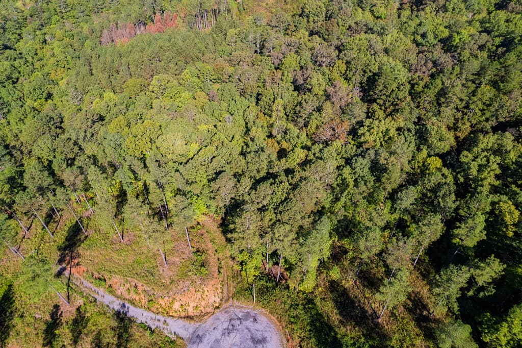 Lot 52 Royal Wulff Avenue, Talking Rock GA 30175 - Photo