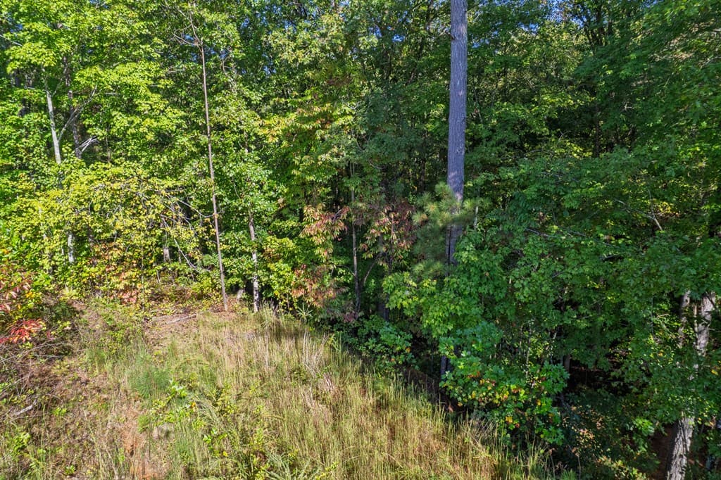 Lot 52 Royal Wulff Avenue, Talking Rock GA 30175 - Photo
