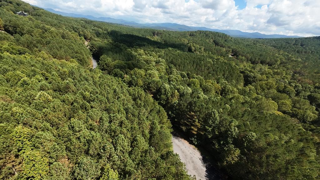 37 Black Bear Ridge Road, Ellijay GA 30536 - Photo