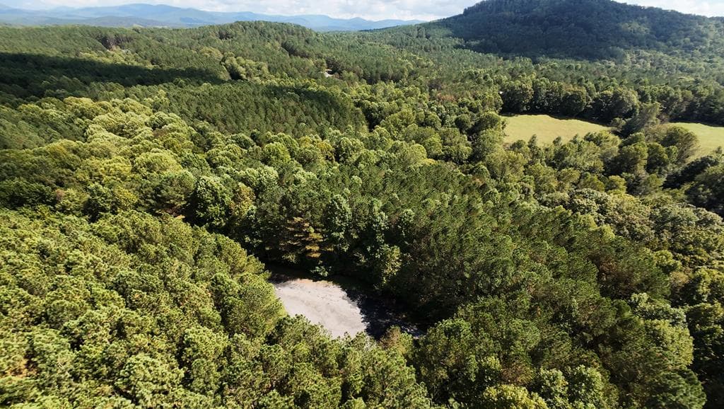 37 Black Bear Ridge Road, Ellijay GA 30536 - Photo