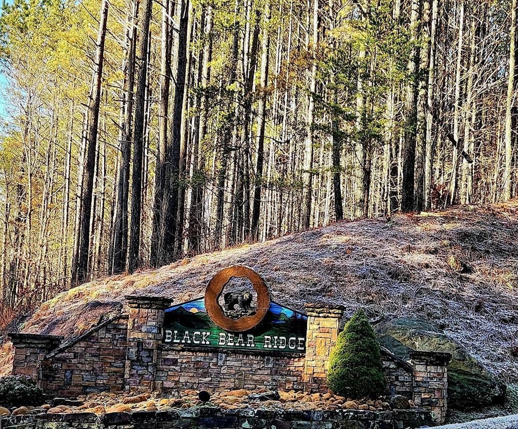 37 Black Bear Ridge Road, Ellijay GA 30536 - Primary photo