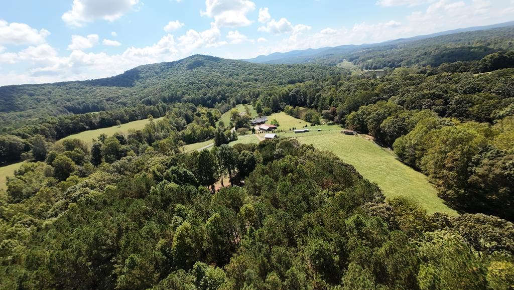 37 Black Bear Ridge Road, Ellijay GA 30536 - Photo