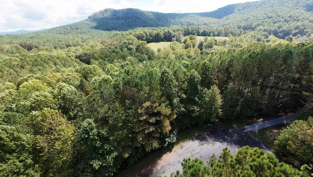 37 Black Bear Ridge Road, Ellijay GA 30536 - Photo