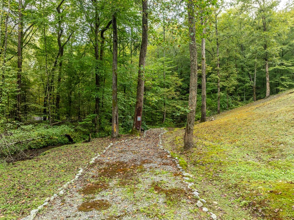 850 Valley Drive, Ellijay GA 30536 - Photo