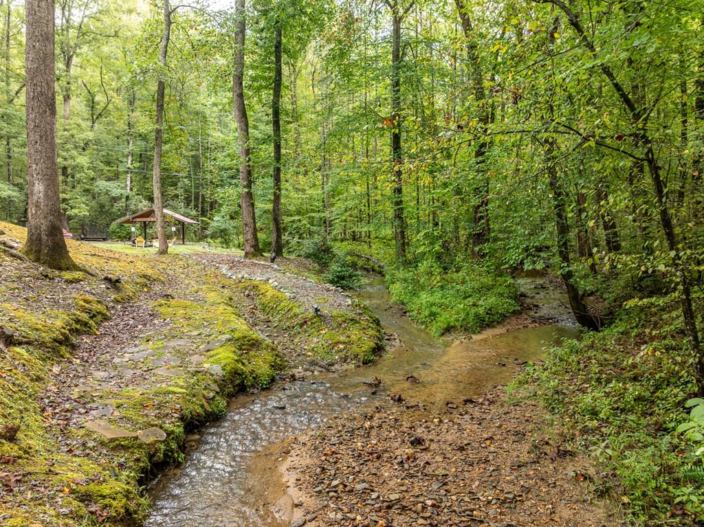 850 Valley Drive, Ellijay GA 30536 - Photo