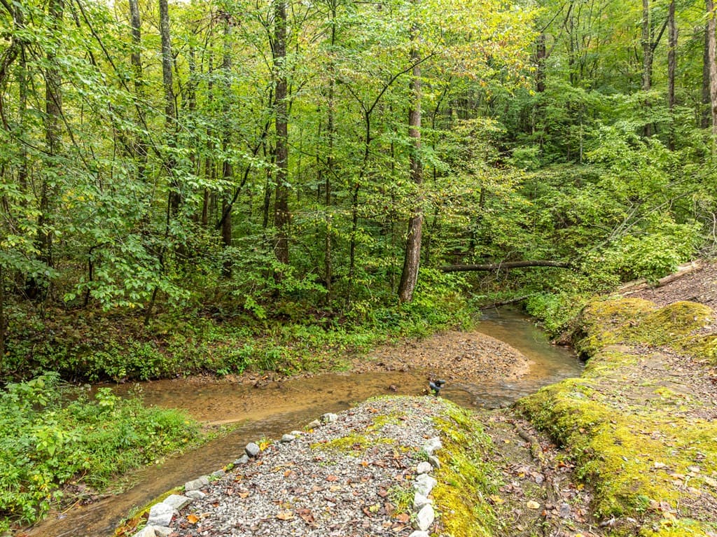 850 Valley Drive, Ellijay GA 30536 - Photo