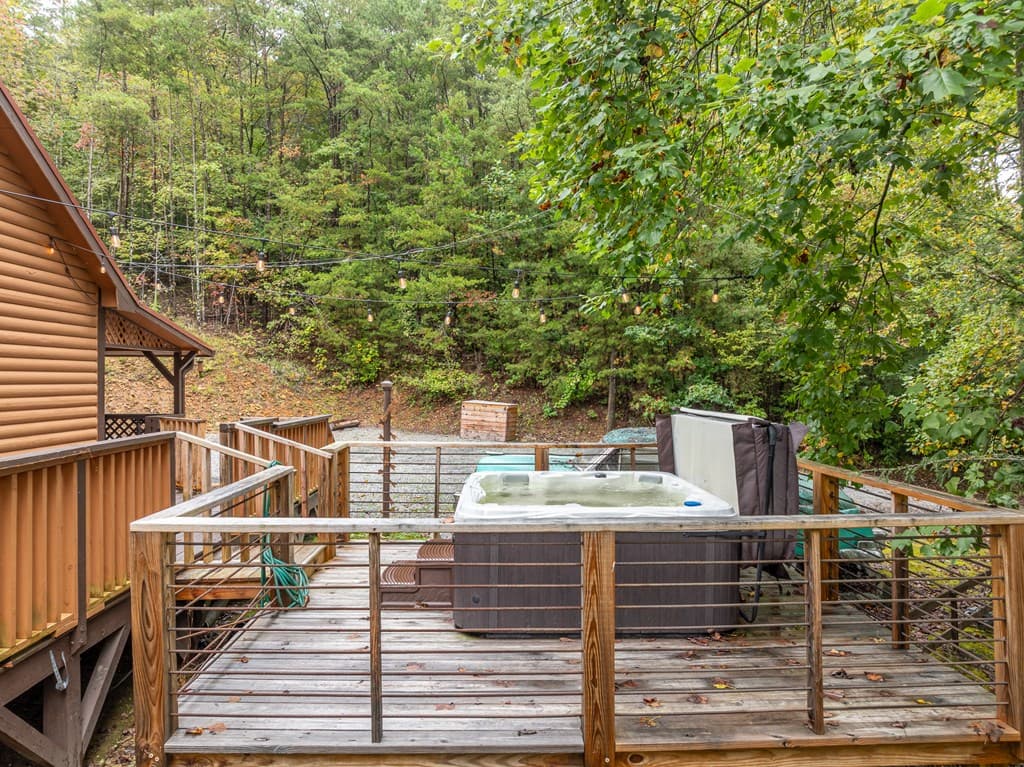 850 Valley Drive, Ellijay GA 30536 - Photo
