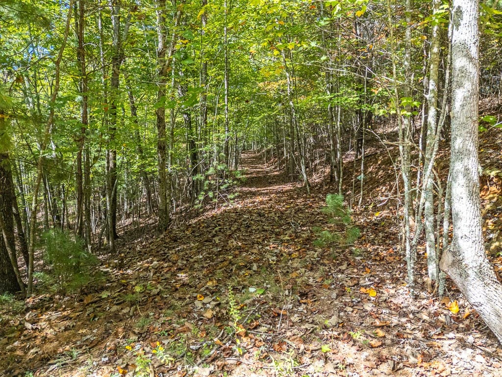 0 Wolf Print Ridge, Murphy NC 28906 - Photo