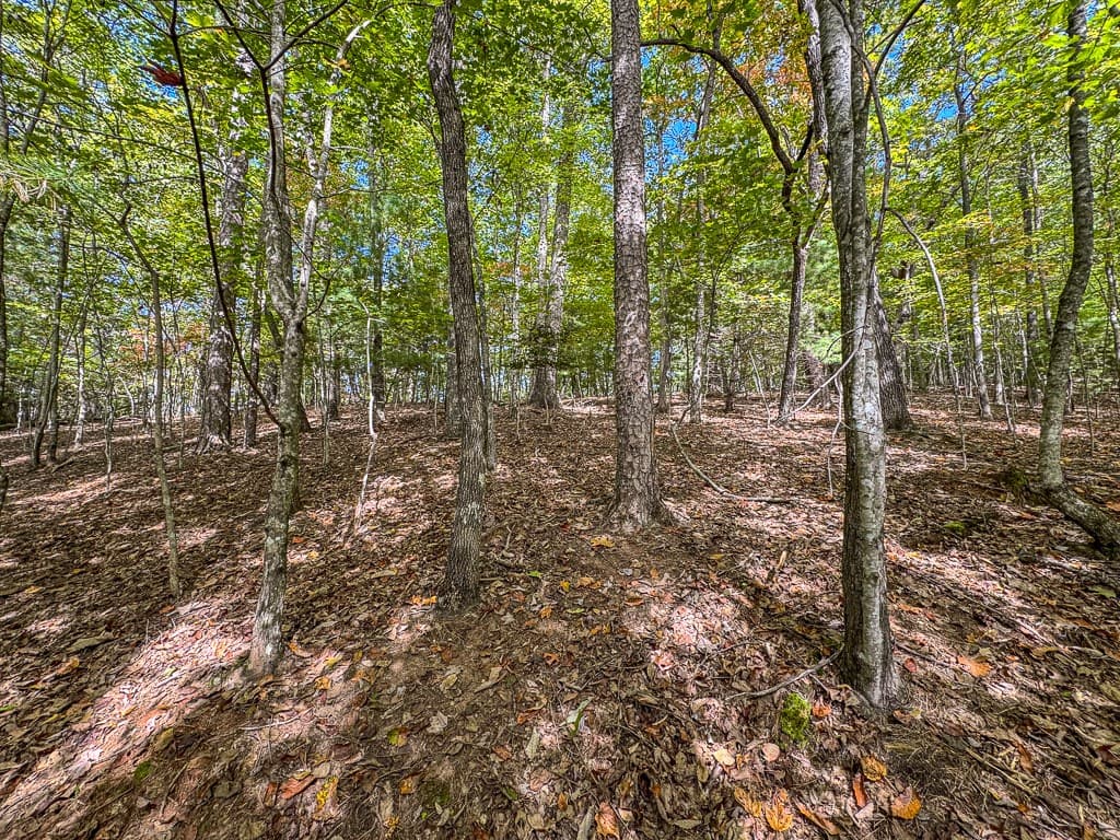 0 Wolf Print Ridge, Murphy NC 28906 - Photo