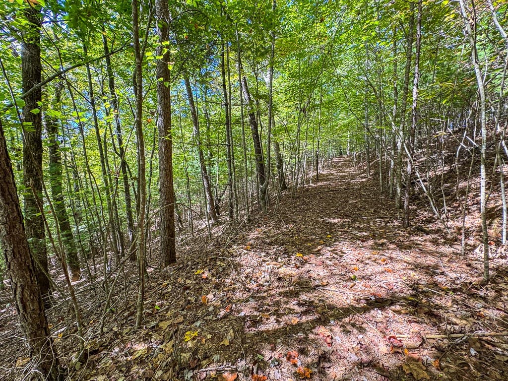 0 Wolf Print Ridge, Murphy NC 28906 - Photo
