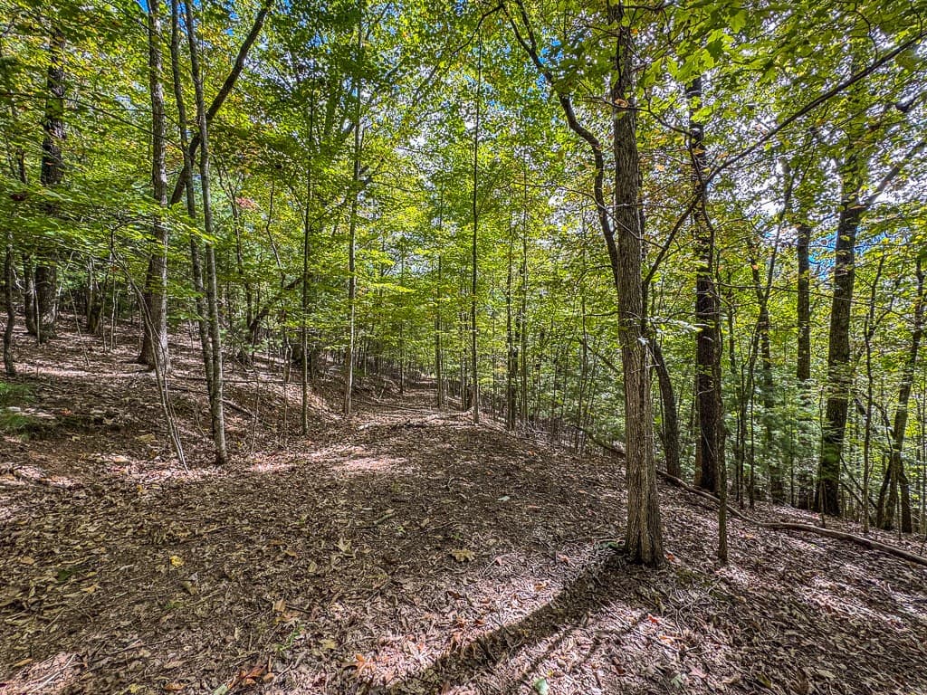 0 Wolf Print Ridge, Murphy NC 28906 - Photo