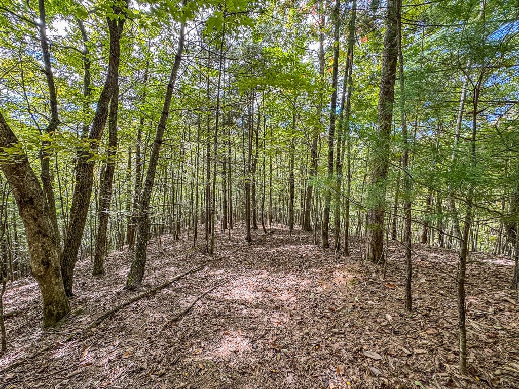 0 Wolf Print Ridge, Murphy NC 28906 - Photo