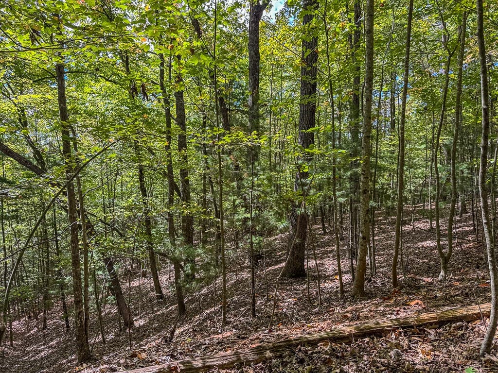 0 Wolf Print Ridge, Murphy NC 28906 - Photo