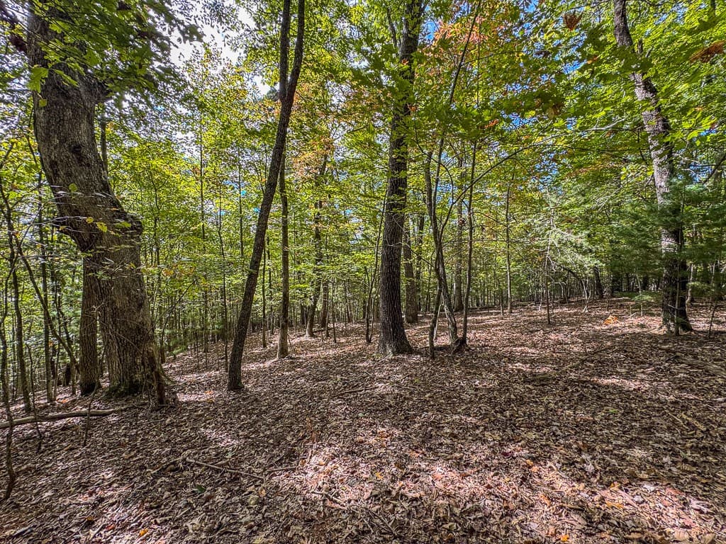0 Wolf Print Ridge, Murphy NC 28906 - Photo