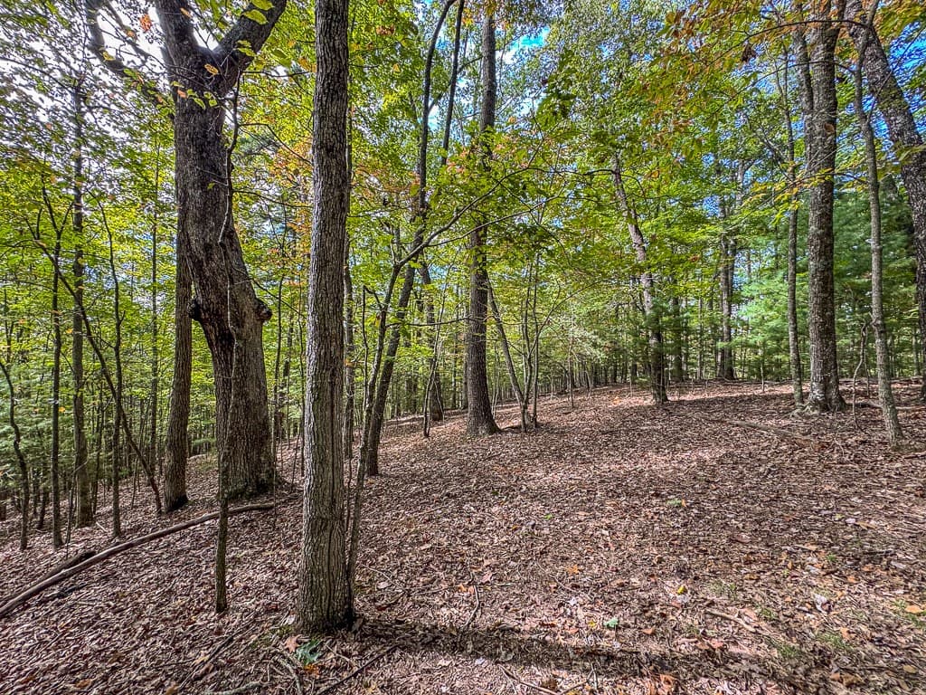 0 Wolf Print Ridge, Murphy NC 28906 - Photo