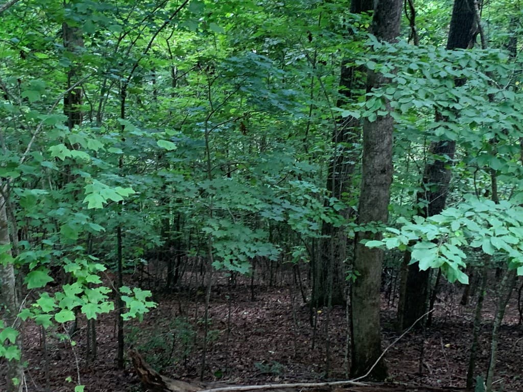Lot 21 Tahlequah Ridge, Hayesville NC 28904 - Photo