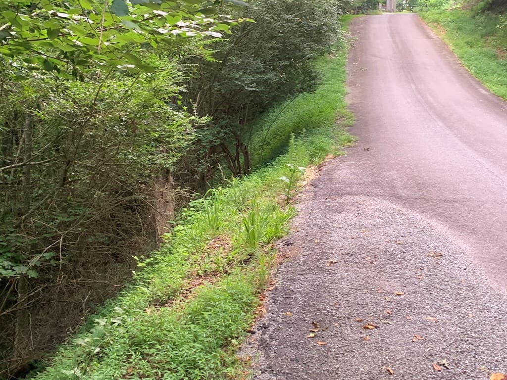 Lot 21 Tahlequah Ridge, Hayesville NC 28904 - Photo