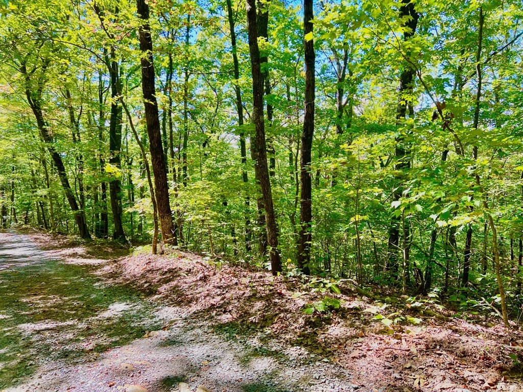 00 Double Knob Road, Ellijay GA 30540 - Photo