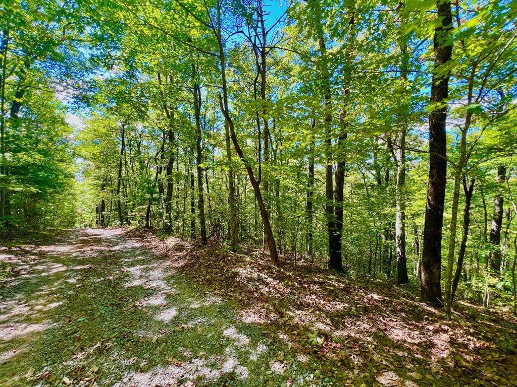 00 Double Knob Road, Ellijay GA 30540 - Photo