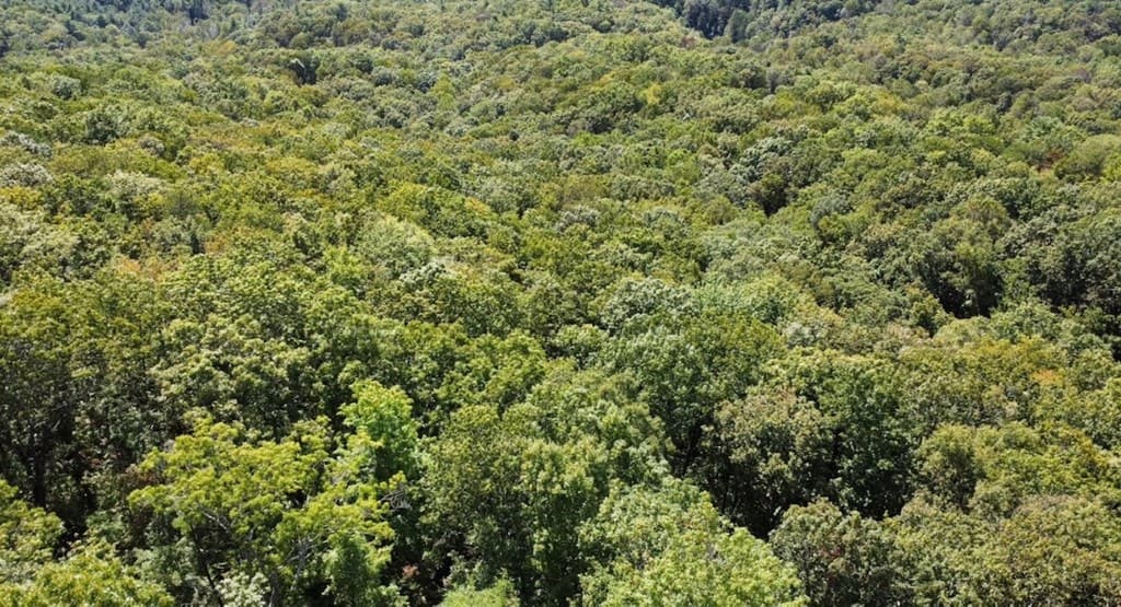 00 Double Knob Road, Ellijay GA 30540 - Photo