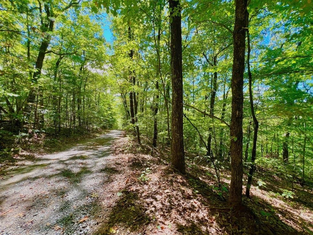 00 Double Knob Road, Ellijay GA 30540 - Photo