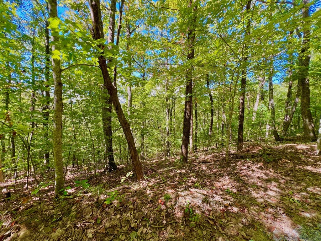 00 Double Knob Road, Ellijay GA 30540 - Photo