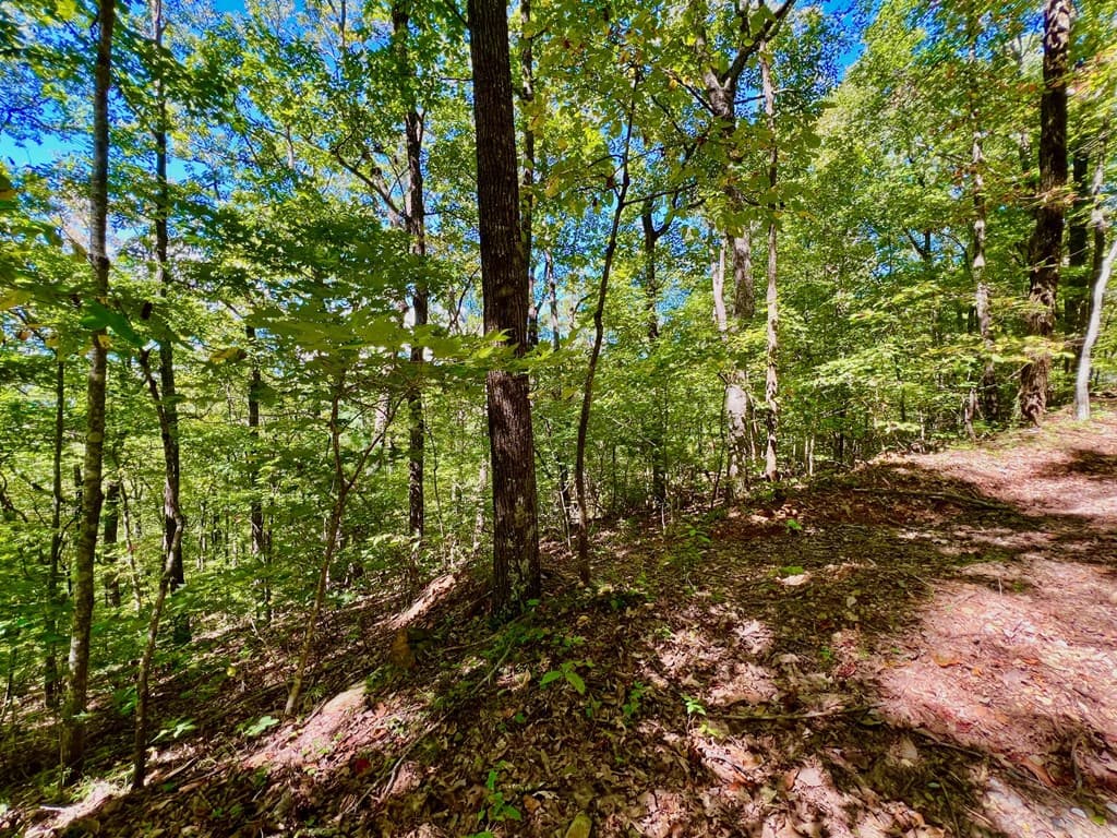 00 Double Knob Road, Ellijay GA 30540 - Photo