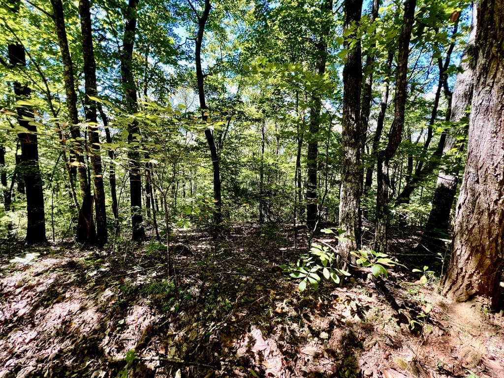 00 Double Knob Road, Ellijay GA 30540 - Photo