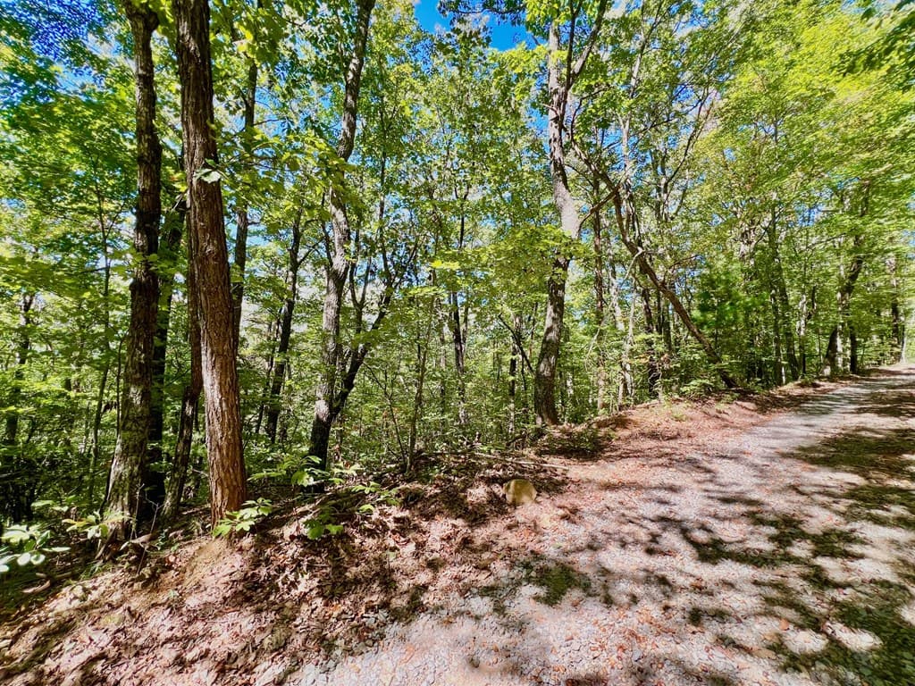 00 Double Knob Road, Ellijay GA 30540 - Photo