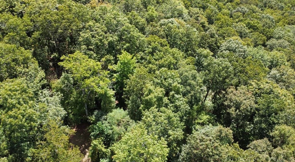 00 Double Knob Road, Ellijay GA 30540 - Photo