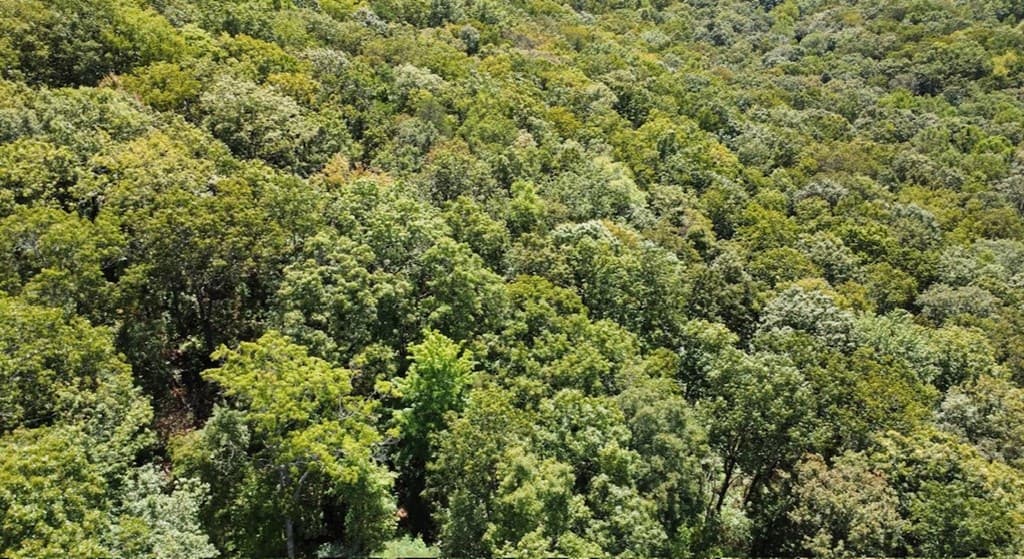 00 Double Knob Road, Ellijay GA 30540 - Photo