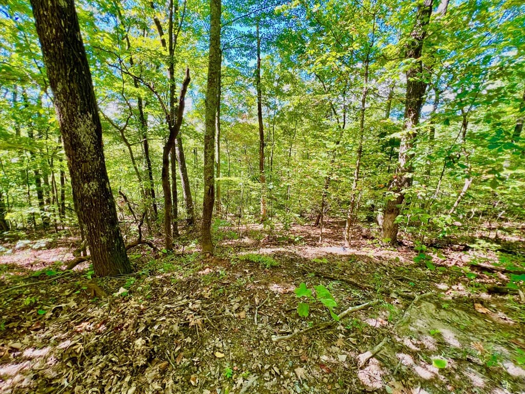 00 Double Knob Road, Ellijay GA 30540 - Photo