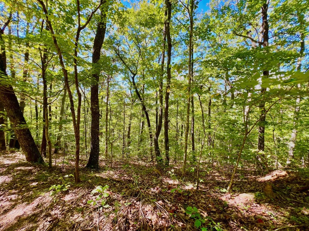 00 Double Knob Road, Ellijay GA 30540 - Photo