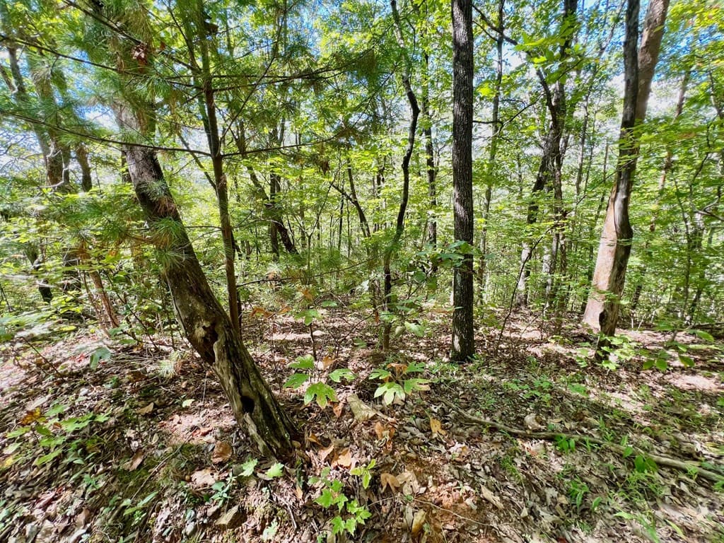 00 Double Knob Road, Ellijay GA 30540 - Photo