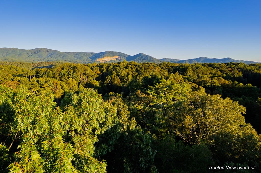 228 Toccoa Court, Ellijay GA 30540 - Photo
