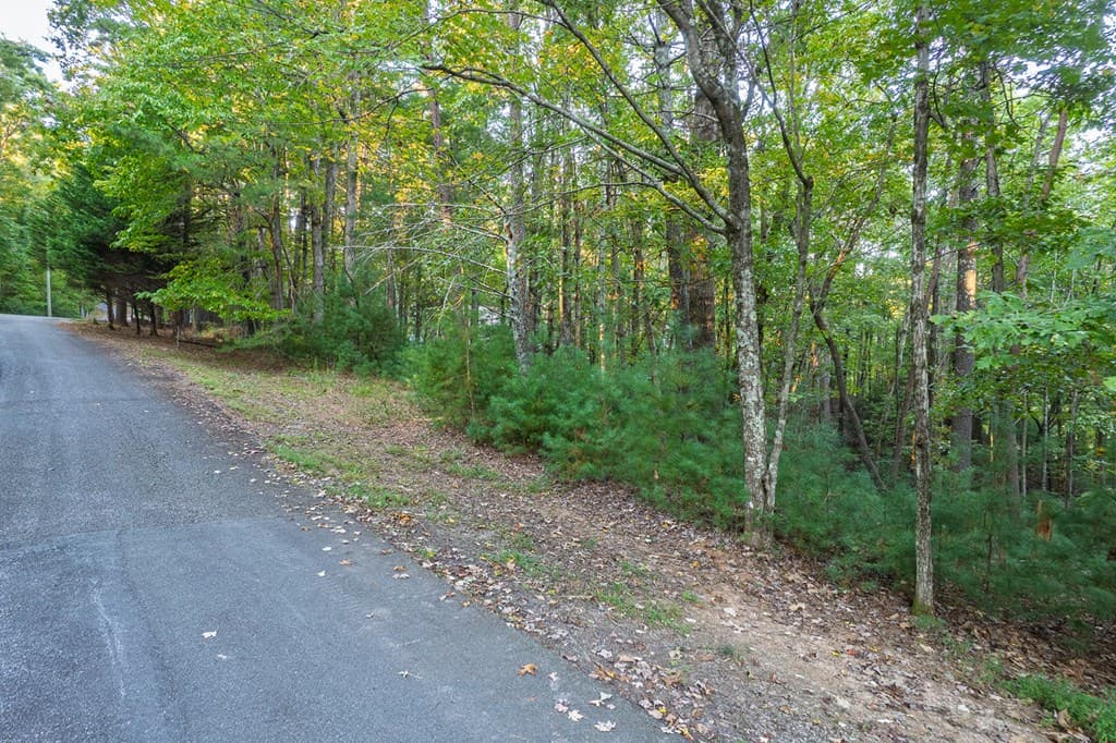 228 Toccoa Court, Ellijay GA 30540 - Photo
